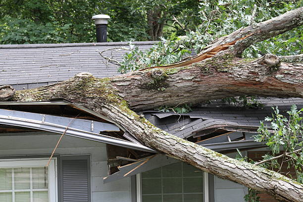 5 things To Know About Roof Insurance Claims Process